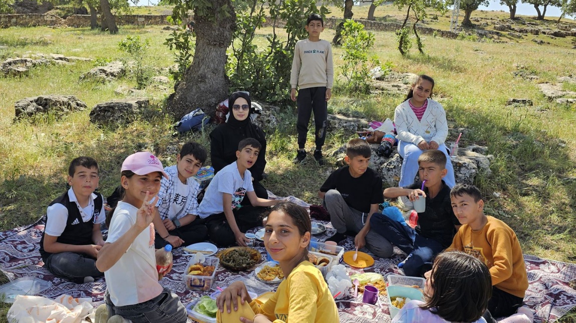 PİKNİK